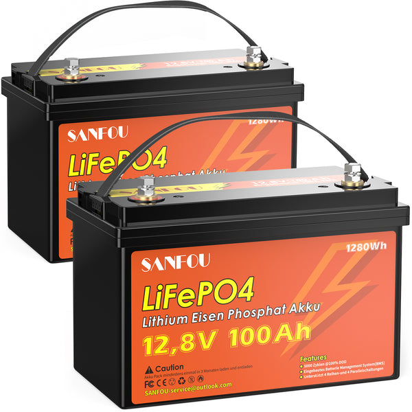 SANFOU 12.8V 100Ah LiFePO4 Battery, Built In 100A BMS