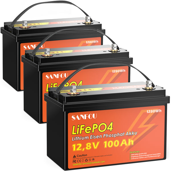 SANFOU 12.8V 100Ah LiFePO4 Battery, Built In 100A BMS