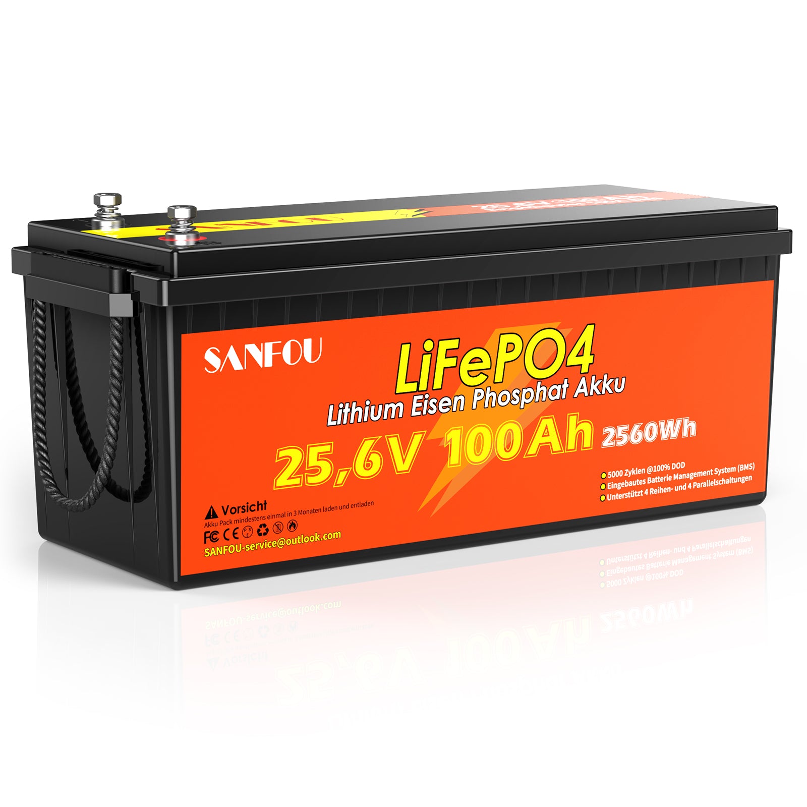 SANFOU 25.6V 100Ah LiFePO4 battery, Built-in 100A BMS