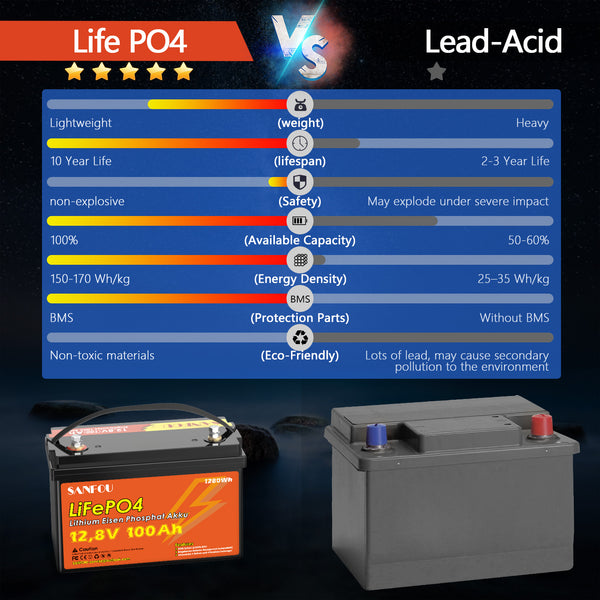 SANFOU 12.8 V 100 Ah LiFePO4 Battery Pack 2