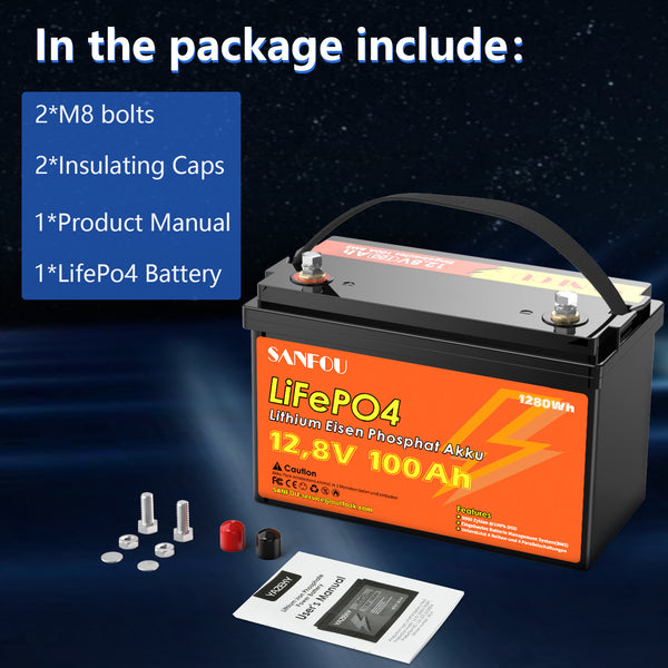 SANFOU 12.8 V 100 Ah LiFePO4 Battery Pack 2